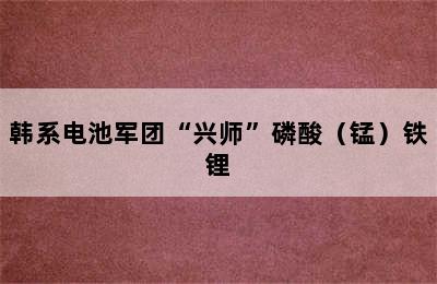 韩系电池军团“兴师”磷酸（锰）铁锂