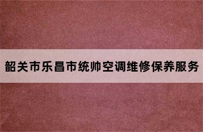 韶关市乐昌市统帅空调维修保养服务