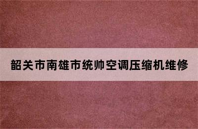 韶关市南雄市统帅空调压缩机维修