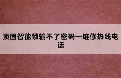 顶固智能锁输不了密码一维修热线电话