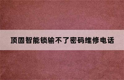 顶固智能锁输不了密码维修电话