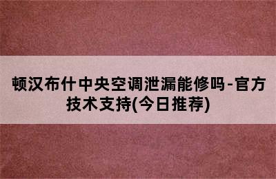 顿汉布什中央空调泄漏能修吗-官方技术支持(今日推荐)