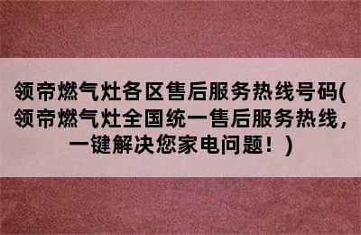 领帝燃气灶各区售后服务热线号码(领帝燃气灶全国统一售后服务热线，一键解决您家电问题！)