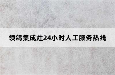 领鸽集成灶24小时人工服务热线