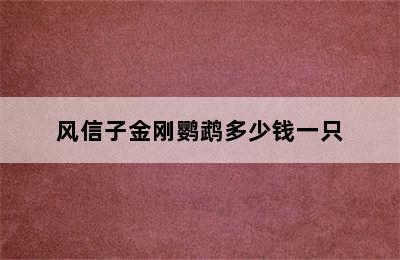 风信子金刚鹦鹉多少钱一只