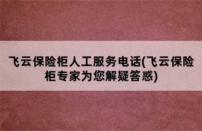 飞云保险柜人工服务电话(飞云保险柜专家为您解疑答惑)