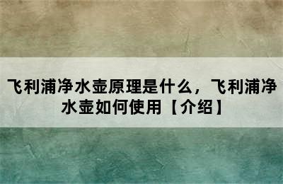 飞利浦净水壶原理是什么，飞利浦净水壶如何使用【介绍】