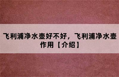 飞利浦净水壶好不好，飞利浦净水壶作用【介绍】