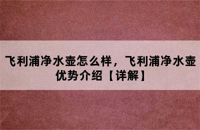 飞利浦净水壶怎么样，飞利浦净水壶优势介绍【详解】