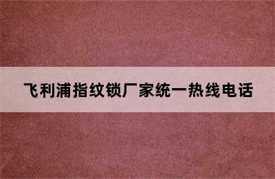 飞利浦指纹锁厂家统一热线电话