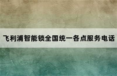 飞利浦智能锁全国统一各点服务电话