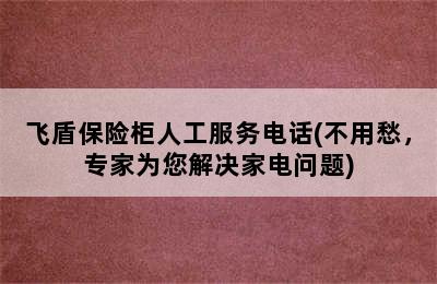 飞盾保险柜人工服务电话(不用愁，专家为您解决家电问题)