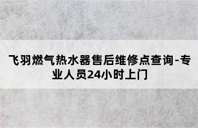 飞羽燃气热水器售后维修点查询-专业人员24小时上门