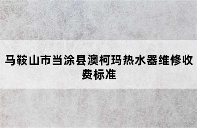 马鞍山市当涂县澳柯玛热水器维修收费标准