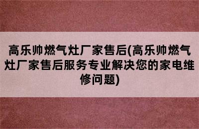 高乐帅燃气灶厂家售后(高乐帅燃气灶厂家售后服务专业解决您的家电维修问题)