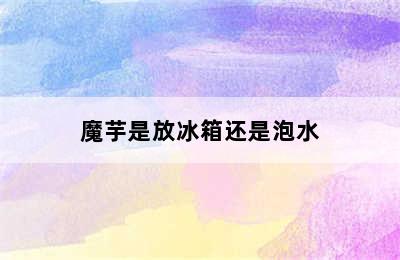 魔芋是放冰箱还是泡水