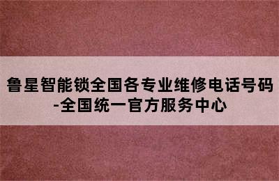 鲁星智能锁全国各专业维修电话号码-全国统一官方服务中心