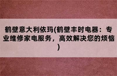 鹤壁意大利依玛(鹤壁丰时电器：专业维修家电服务，高效解决您的烦恼)