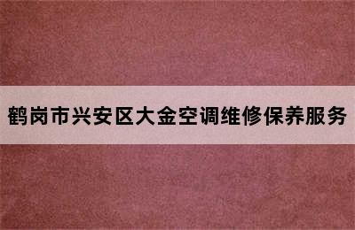 鹤岗市兴安区大金空调维修保养服务