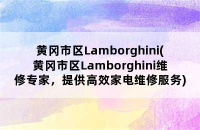 黄冈市区Lamborghini(黄冈市区Lamborghini维修专家，提供高效家电维修服务)