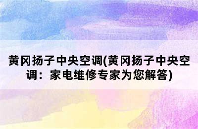 黄冈扬子中央空调(黄冈扬子中央空调：家电维修专家为您解答)