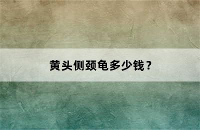 黄头侧颈龟多少钱？