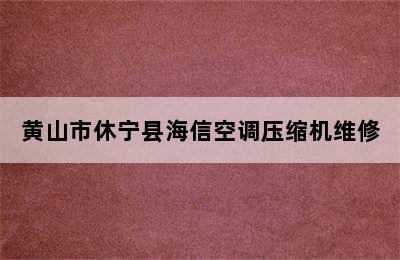 黄山市休宁县海信空调压缩机维修