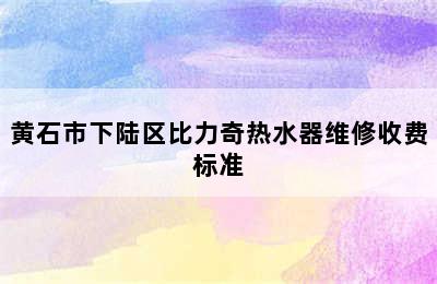 黄石市下陆区比力奇热水器维修收费标准