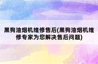 黑狗油烟机维修售后(黑狗油烟机维修专家为您解决售后问题)