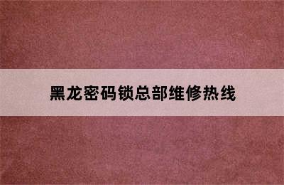 黑龙密码锁总部维修热线