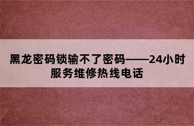 黑龙密码锁输不了密码——24小时服务维修热线电话