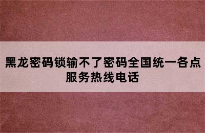 黑龙密码锁输不了密码全国统一各点服务热线电话