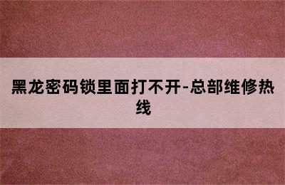 黑龙密码锁里面打不开-总部维修热线