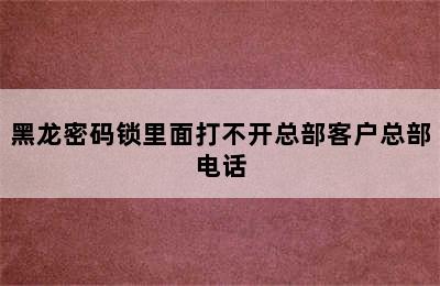 黑龙密码锁里面打不开总部客户总部电话