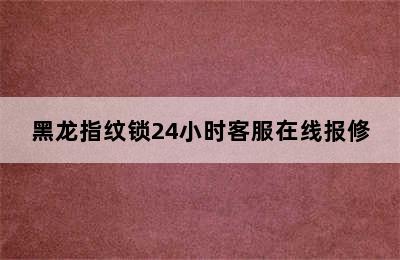 黑龙指纹锁24小时客服在线报修