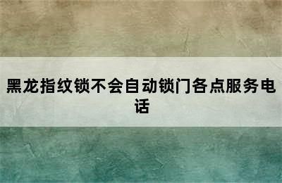 黑龙指纹锁不会自动锁门各点服务电话