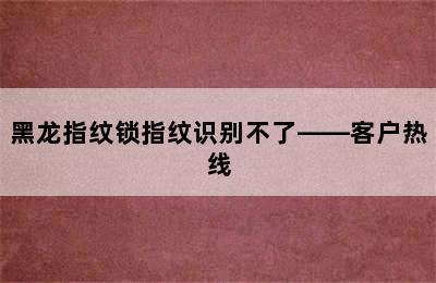 黑龙指纹锁指纹识别不了——客户热线