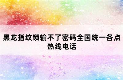 黑龙指纹锁输不了密码全国统一各点热线电话