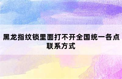 黑龙指纹锁里面打不开全国统一各点联系方式