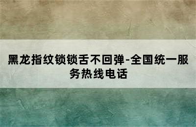 黑龙指纹锁锁舌不回弹-全国统一服务热线电话