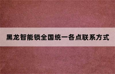 黑龙智能锁全国统一各点联系方式