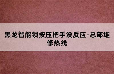 黑龙智能锁按压把手没反应-总部维修热线