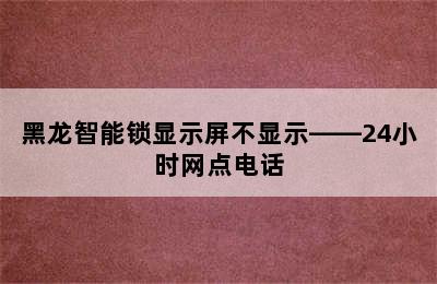 黑龙智能锁显示屏不显示——24小时网点电话