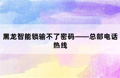 黑龙智能锁输不了密码——总部电话热线