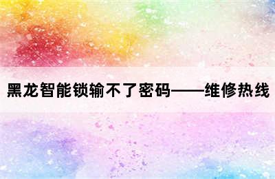 黑龙智能锁输不了密码——维修热线