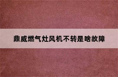 鼎威燃气灶风机不转是啥故障