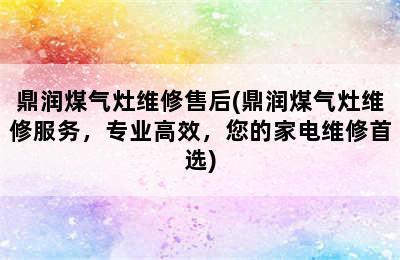 鼎润煤气灶维修售后(鼎润煤气灶维修服务，专业高效，您的家电维修首选)