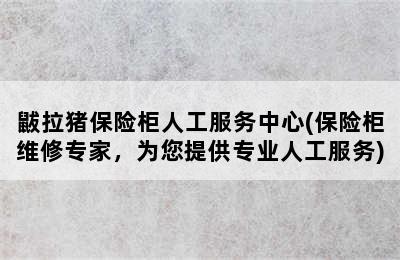 鼥拉猪保险柜人工服务中心(保险柜维修专家，为您提供专业人工服务)