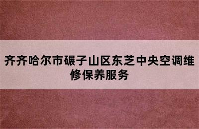 齐齐哈尔市碾子山区东芝中央空调维修保养服务