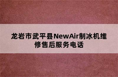 龙岩市武平县NewAir制冰机维修售后服务电话